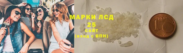 прущие грибы Беломорск