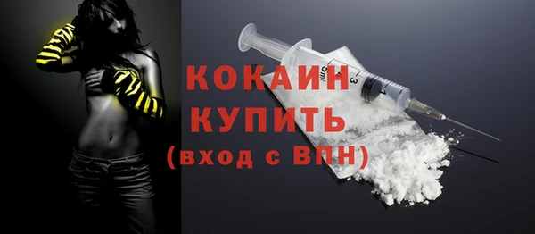 прущие грибы Беломорск