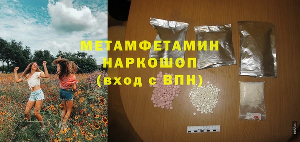 прущие грибы Беломорск