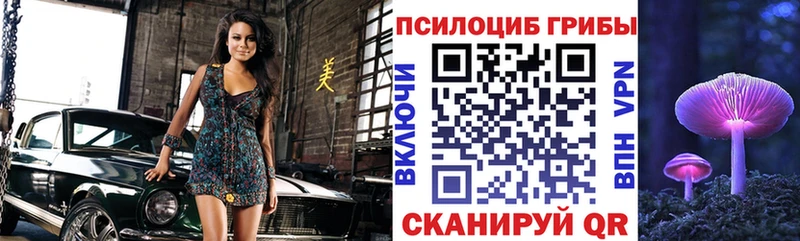 Галлюциногенные грибы мицелий  Бородино 