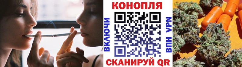 купить  цена  Бородино  Конопля тримм 